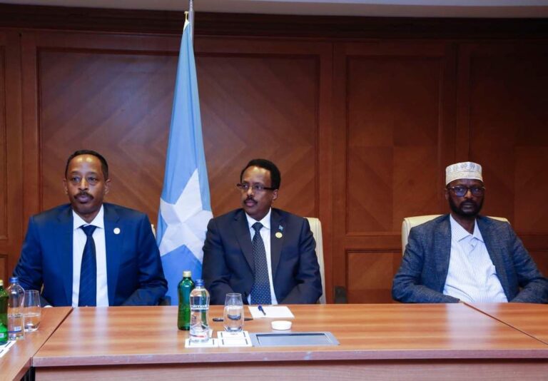 President Farmajo meets the Somali community in Turkey