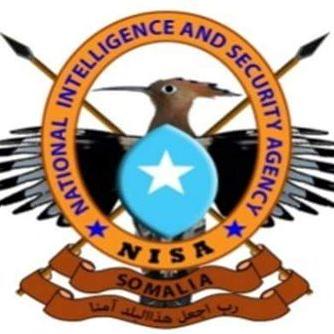 12 Al-Shabaab militants killed in operation