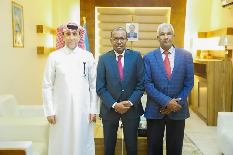 وزير الخارجية يستقبل سفير دولة قطر لدى البلاد
