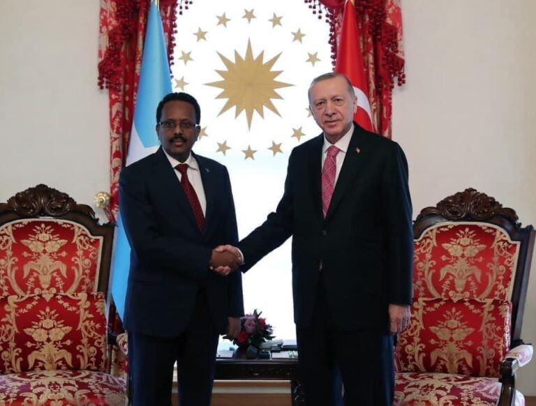 President Farmajo meets with Turkish President
