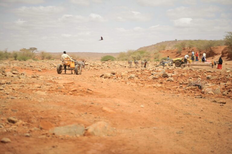 UN seeks urgent funding to mitigate worsening drought in Somalia