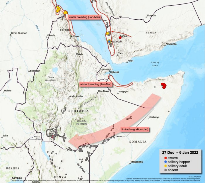 Desert Locust situation update on 6th of January 2022: Small swarms form in NE Somalia (Report)