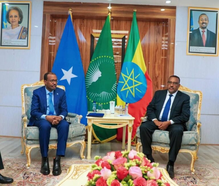 Foreign Minister meets with the Deputy Prime Minister and Foreign Minister of the Federal Democratic…