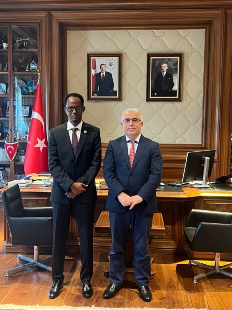 Minister of Energy and Water resources meets with the Turkish Ambassador to Somalia