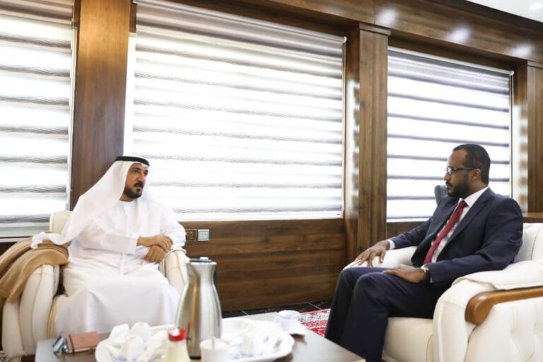 The Minister of Planning meets the UAE Ambassador to Somalia