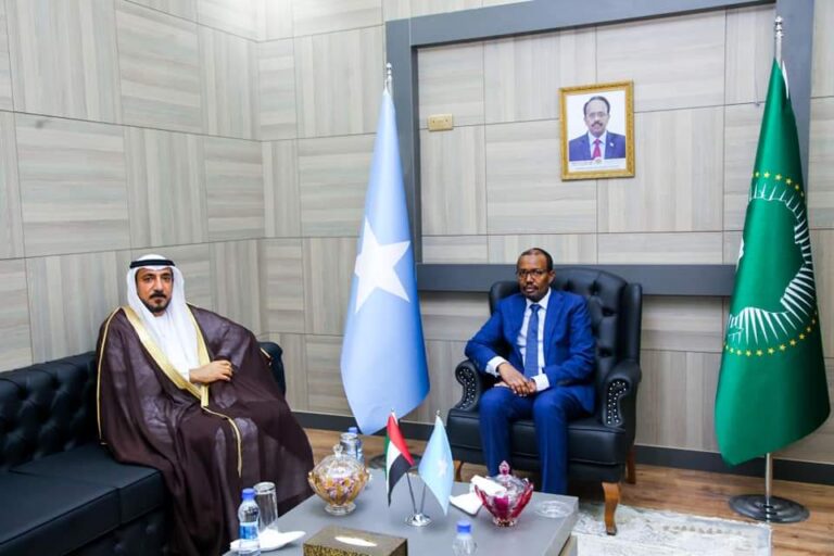 وزير الخارجية يبحث مع سفير دولة الإمارات العربية المتحدة سبل تعزيز آفاق التعاون المشترك