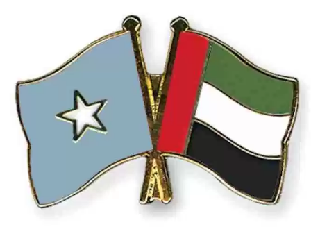 الصومال والإمارات .. بزوغ فجر جديد من العلاقات بين البلدين