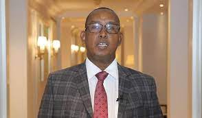 Government spokesman injured in suicide bomb attack in Mogadishu