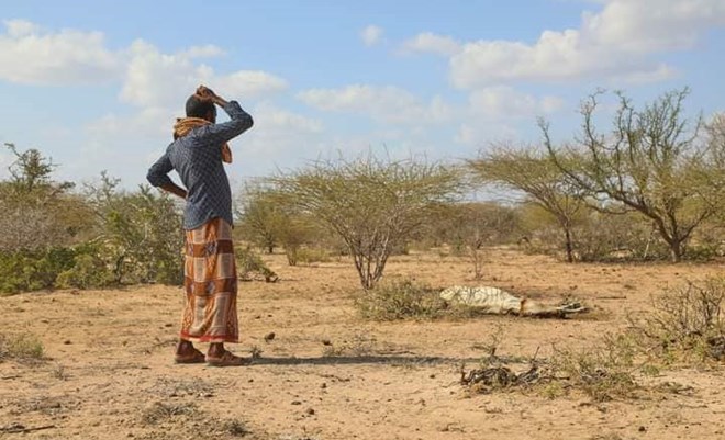 لجنة الإغاثة تعلن توزيع التبرعات المالية على الولايات