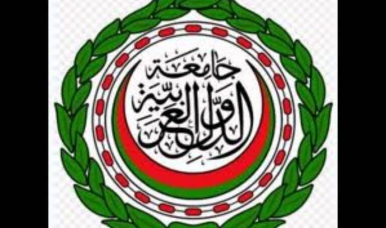 الأمين العام للجامعة العربية يدين الهجوم الانتحاري في مقديشو