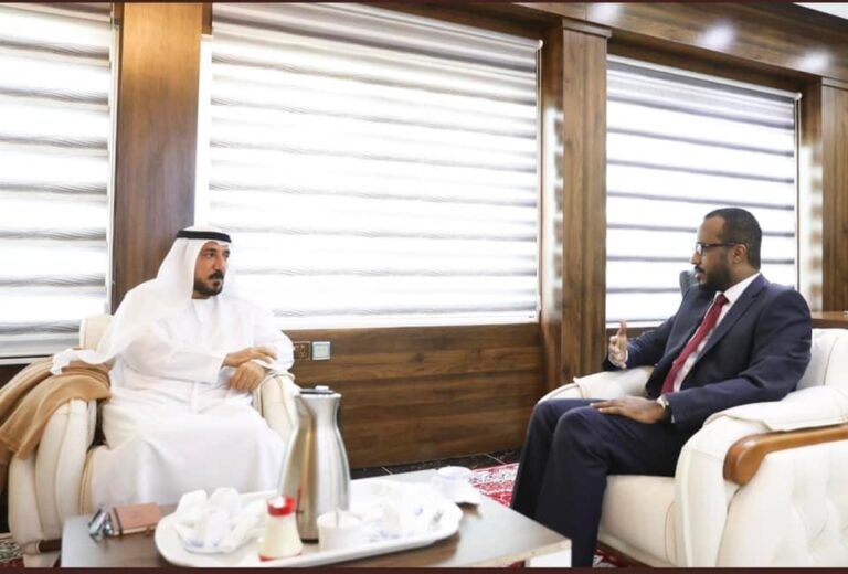 الصومال والإمارات تبحثان التعاون في مختلف المجالات