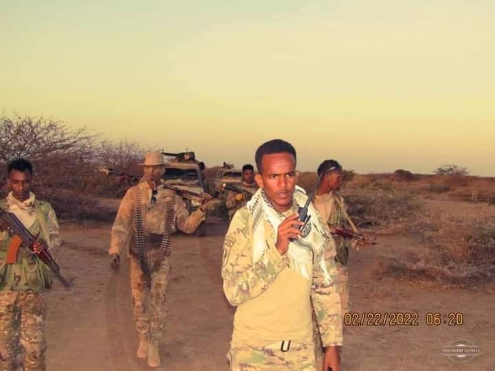 الجيش يقتل قياديا و60 إرهابيا في إقليم هيران