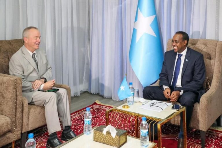 Prime Minister Roble receives new US Ambassador to Somalia