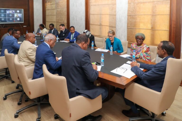 Prime Minister Roble meets International Partners to discuss election issues