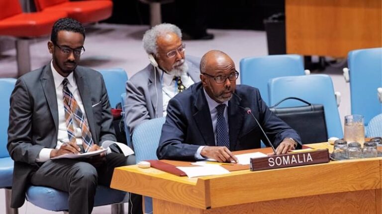 Ambassador Abukar addresses the United Nation’s Security Council on the Somali-Piracy