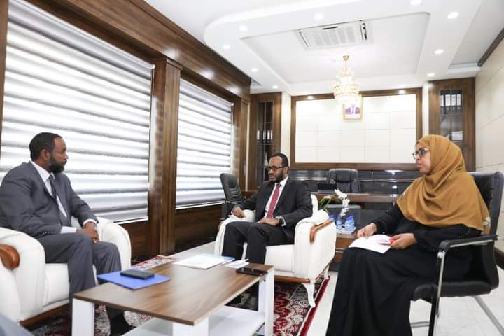 The Minister of National Planning and his director receive UN delegates