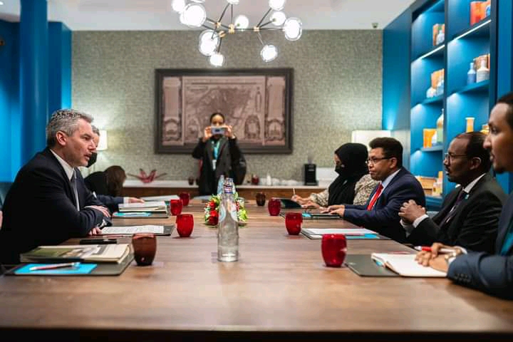 Foreign Minister meets with Austrian Federal Chancellor