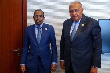 FM Adbisaid had a meeting with his Egyptian counterpart