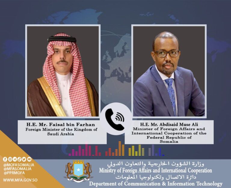 وزير الخارجية يبحث مع نظيره السعودي تعزيز العلاقات الثنائية والتطورات الاقليمية