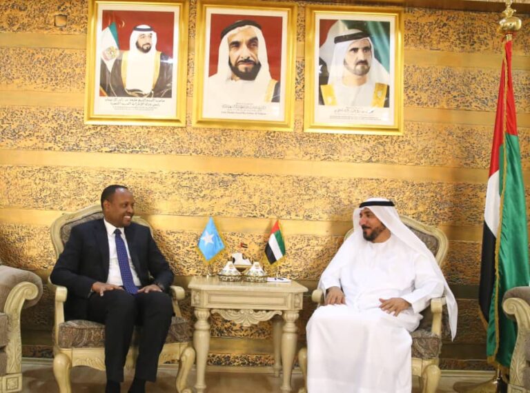 وزير الأمن يلتقي سفير دولة الإمارات لدى الجمهورية
