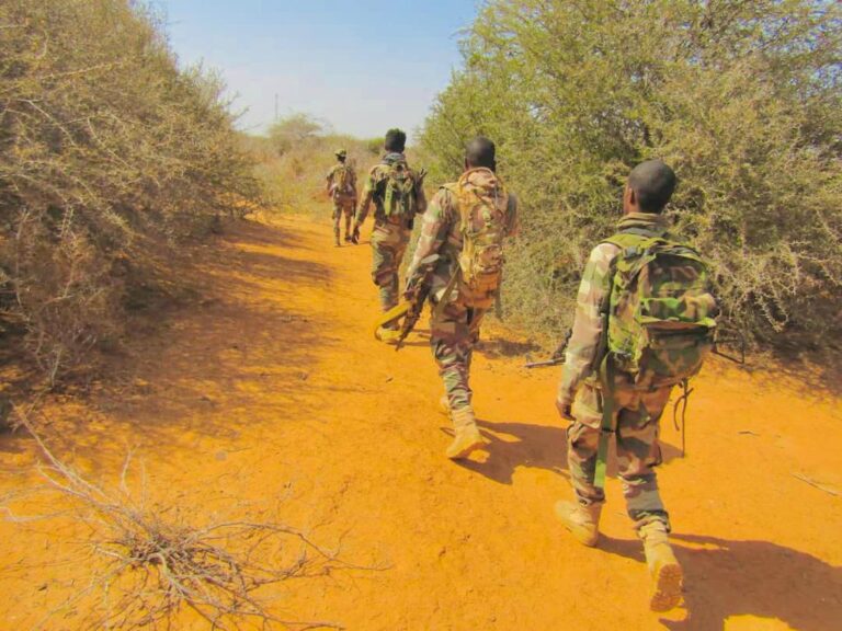 Somali National Army kills 4 Al-Shabaab militants, injure 6 others in operation