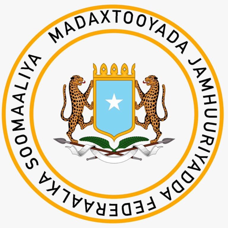 الرئاسة الصومالية تحتج على تقرير نشرته صحيفة كندية بشأن تورط جنود صوماليين في الحرب الإثيوبية