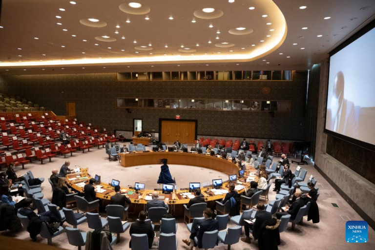 Chinese envoy calls for constructive assistance to Somalia