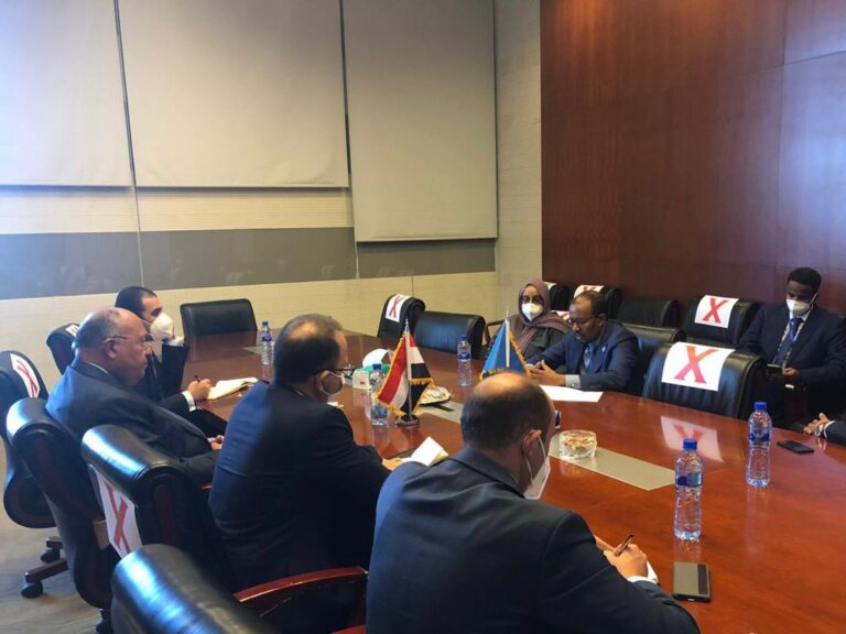 وزير الخارجية يلتقي نظيره المصري على هامش قمة الاتحاد الإفريقي في أديس أبابا