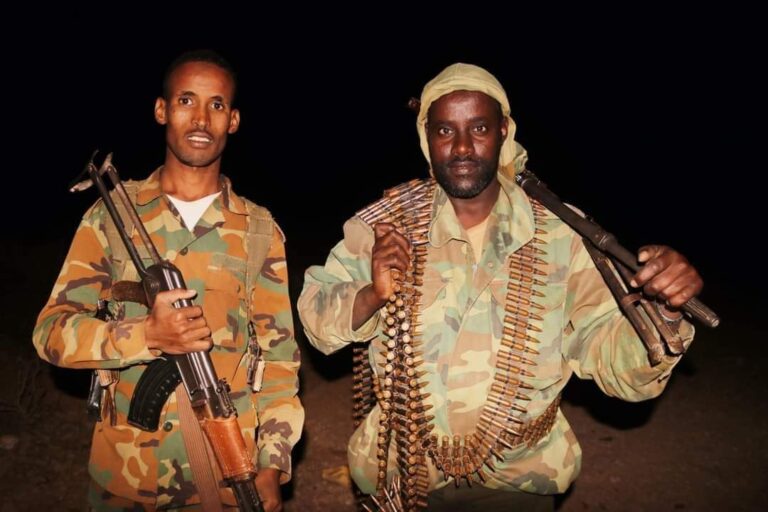 Somali Army kills 3 terrorist militants in operation