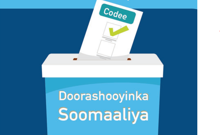 FEIT has permitted to hold the elections of three Parliamentary seats in Beletweyne