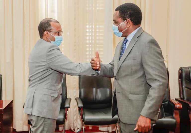 Zambian President receives Somalia FM in Lusaka