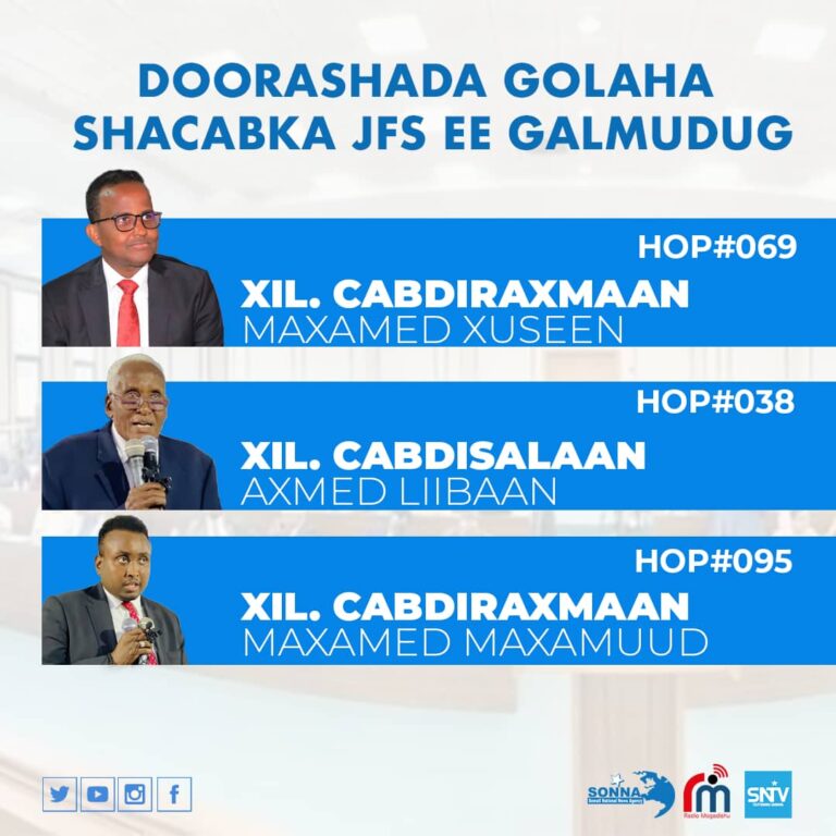 انتخاب 3 أعضاء بمجلس الشعب الفيدرالي في مدينة غالكعيو