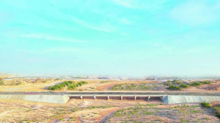رئيس أرض الصومال يشيد بدور الإمارات في دعم المشاريع التنموية