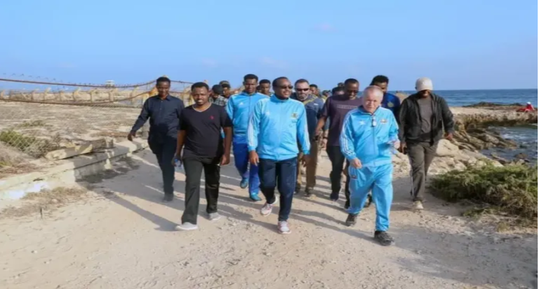 سفاراة الولايات المتحدة في الصومال تنشر صورا لرئيس الوزراء الصومالي والسفير الأمريكي يمشيان في أحد…