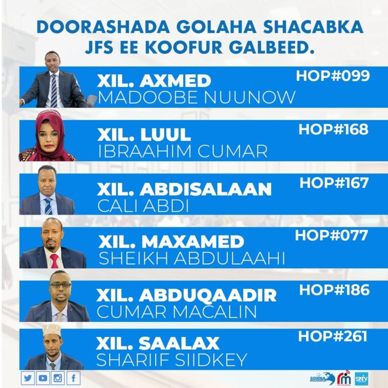 انتخاب 6 أعضاء بمجلس الشعب الفيدرالي في مدينة بيدوا