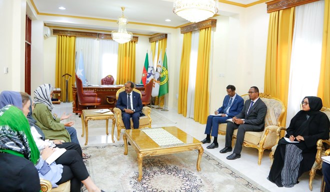 لقاء بين الرئيس الصومالي ومبعوثة الاتحاد الأوروبي للقرن الأفريقي