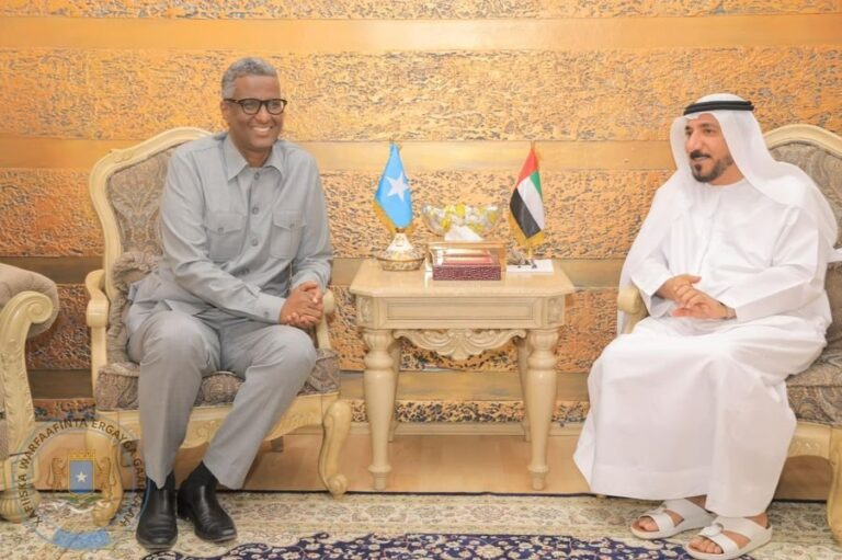 مبعوث رئيس الصومال للشؤون الإنسانية ومواجهة الجفاف يلتقي السفير الإماراتي