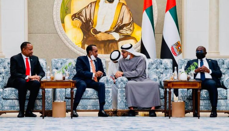 رئيس الوزراء الصومالي يلتقي في أبوظبي رئيس دولة الإمارات
