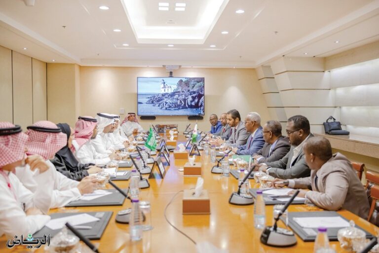 جيبوتي تدعو السعوديين للاستثمار في أكبر منطقة تجارة حرة بإفريقيا